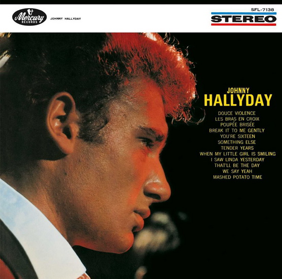 Les Bras En Croix (Vinyl) - HALLYDAY JOHNNY