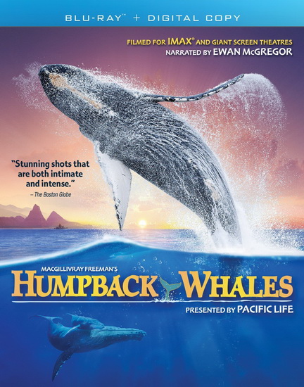 IMAX: Humpback Whales - MACGILLIVRAY GREG