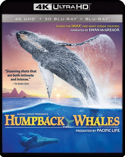 IMAX: Humpback Whales (4K) - MACGILLIVRAY GREG