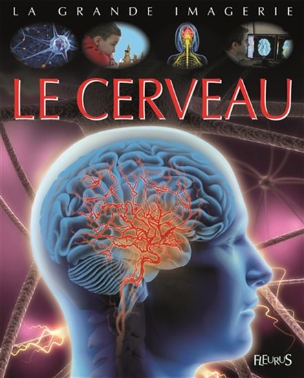 Le Cerveau - JACK BEAUMONT