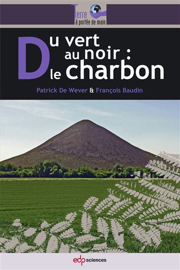 Du vert au noir : le charbon - PATRICK DE WEVER - FRANÇOIS BAUDIN