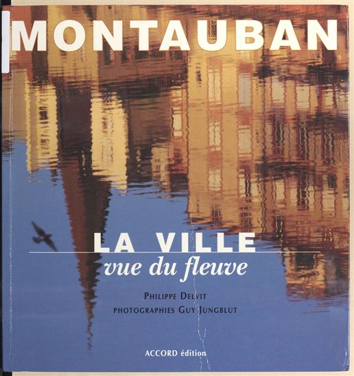 Montauban, la ville vue du fleuve - PHILIPPE DELVIT