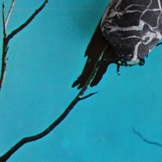 Stateless (Vinyl) - TANGENTS