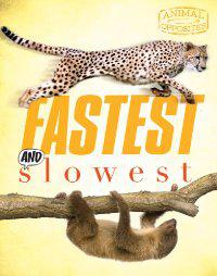 Fastest and Slowest - CAMILLA BEDOYERE