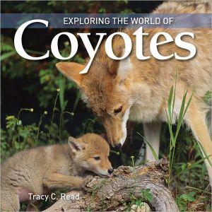 Exploring the World of Coyotes - TRACY READ