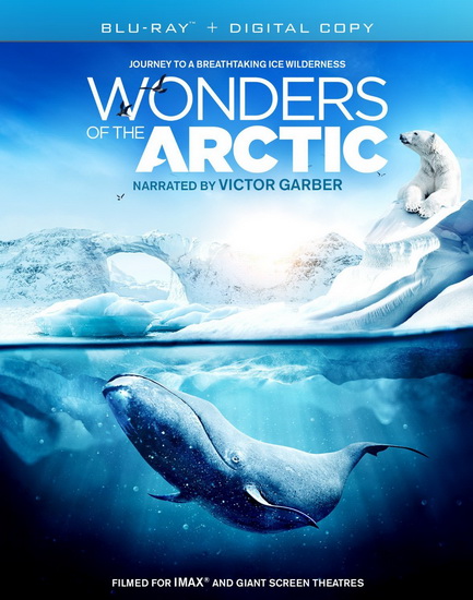 IMAX: Wonders of The Arctic