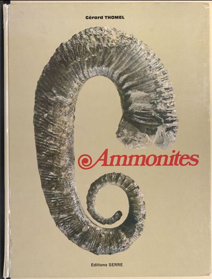 Ammonites - GÉRARD THOMEL