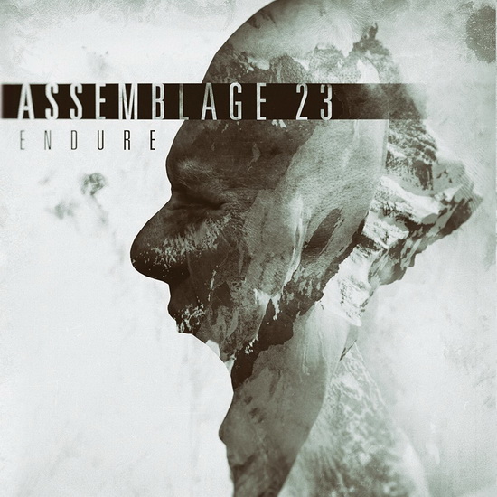 Endure (Deluxe Vinyl) - ASSEMBLAGE 23