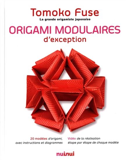 Origamis modulaires d&#39;exception - TOMOKO FUSE
