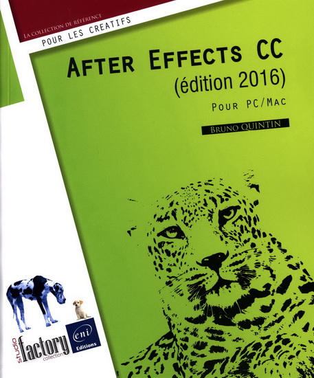 After Effects CC (édition 2016) : pour PC-Mac - BRUNO QUINTIN