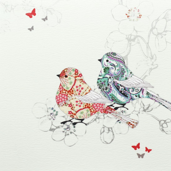 Oiseaux rouges et gris et papillons