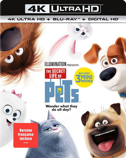 The Secret Life of Pets (Comme des bêtes) (4K+Blu-Ray+Digital HD) - CHENEY YARROW - RENAUD CHRIS