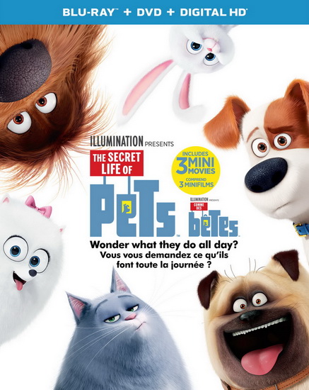 The Secret Life of Pets (Comme des bêtes) (Blu-Ray+Dvd) - CHENEY YARROW - RENAUD CHRIS