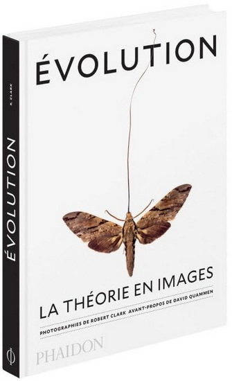 Évolution : la théorie en images - ROBERT CLARK