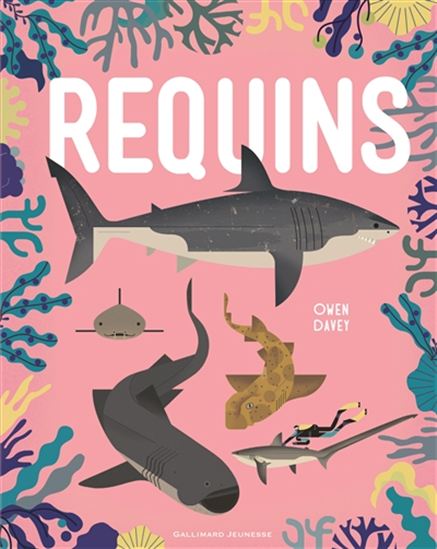 Requins - OWEN DAVEY