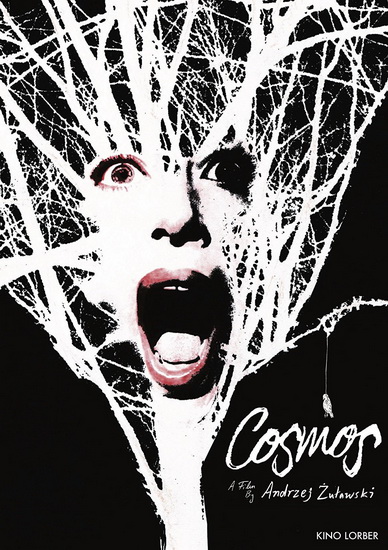 Cosmos - ZULAWSKI ANDRZEJ