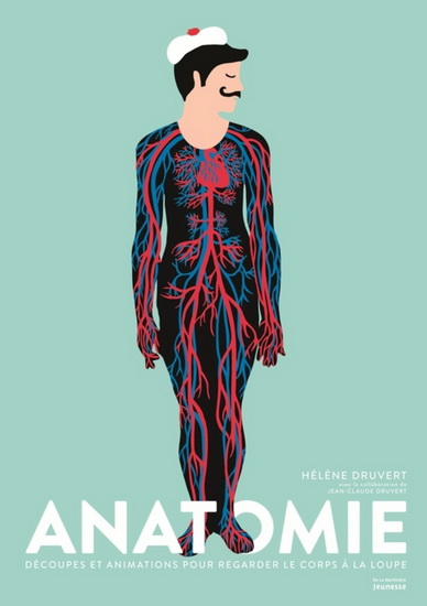 Anatomie : découpes et animations pour regarder le corps à la loupe - HÉLÈNE DRUVERT