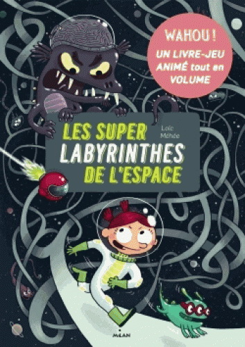 Les Super-labyrinthes de l'espace - LOÏC MÉHÉE