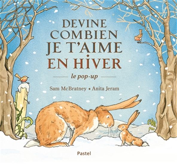 Devine combien je t'aime en hiver : le pop-up - SAM MCBRATNEY - ANITA JERAM