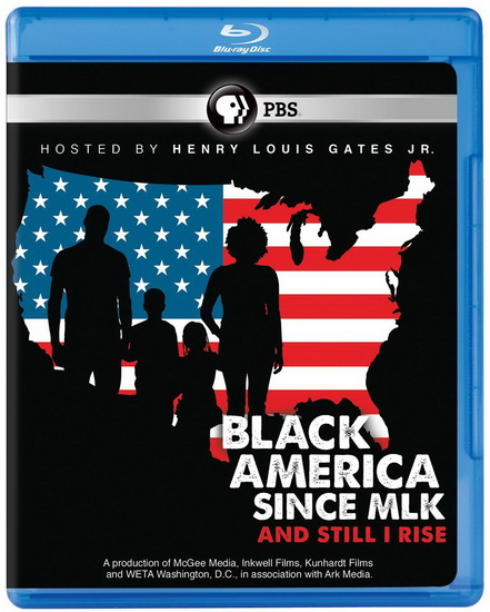 Black America Since Mlk: And Still I Rise