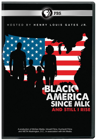 Black America Since Mlk: And Still I Rise