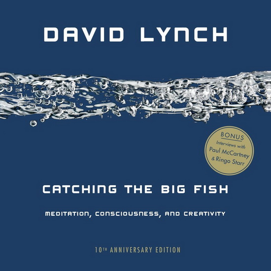 Catching the Big Fish: Meditation, Consciousness, and Creativity: 10th Anniversary Edition - DAVID LYNCH