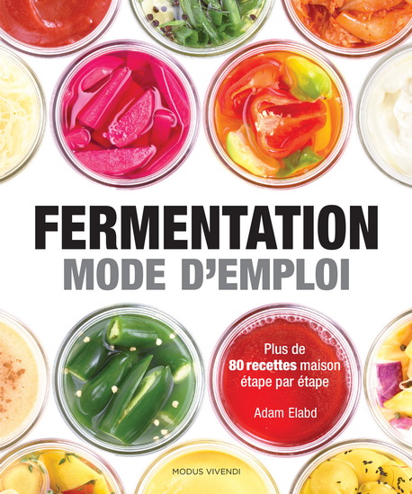 Fermentation : mode d'emploi - ADAM ELABD