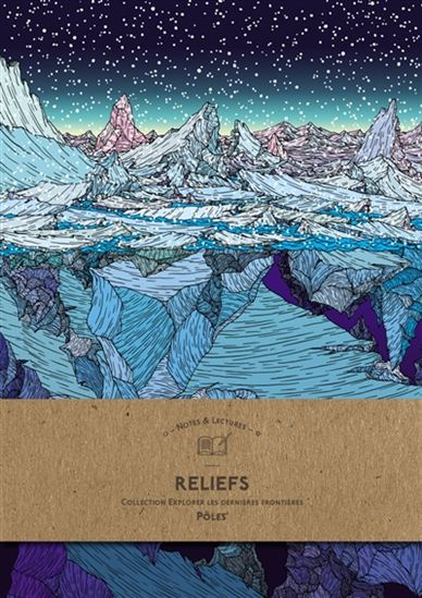 Reliefs, pôles : notes & lectures - COLLECTIF