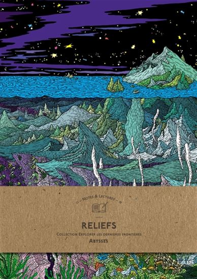 Reliefs, abysses : notes & lectures - COLLECTIF