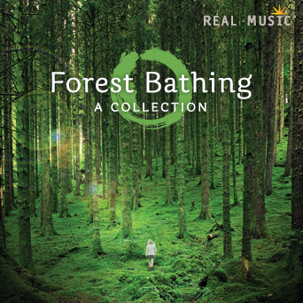 Forest Bathing - COMPILATION RELAXATION