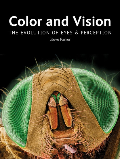 Color and Vision - STEVE PARKER