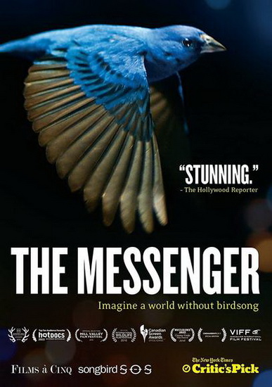 The Messenger - RYNARD SU