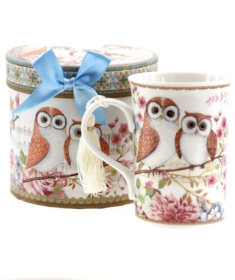 Tasse Chouettes et boîte cadeau