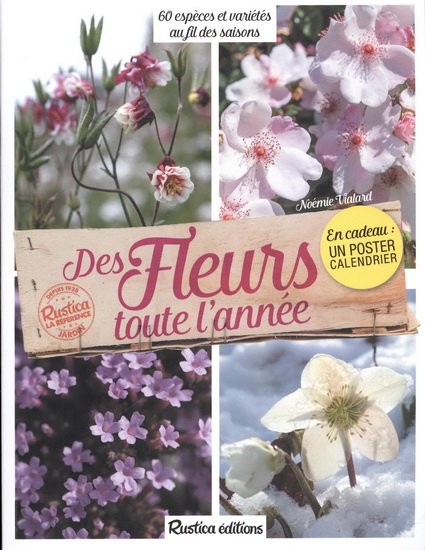 Des fleurs toute l'année - NOÉMIE VIALARD