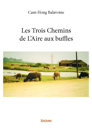 Les trois chemins de l&#39;aire aux buffles - CAM-HONG BALAVOINE