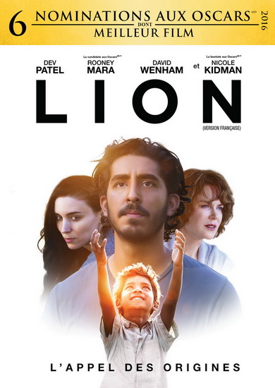 Lion - GARTH DAVIS