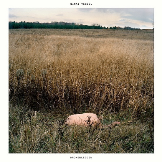 Brokenlegged - SINAI VESSEL
