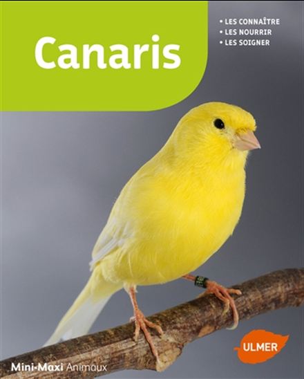 Canaris : les connaître, les nourrir, les soigner N. éd. - MARKUS HUBL