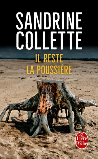 Il reste la poussière - SANDRINE COLLETTE