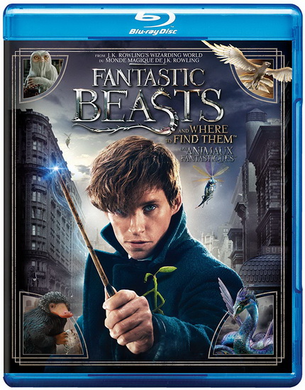Fantastic Beasts and Where To Find Them (Les animaux Fantastiques) (Blu-Ray) - YATES DAVID