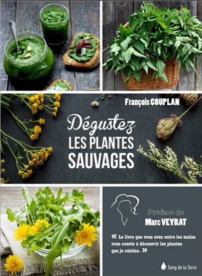 Dégustez les plantes sauvages N. éd. - FRANÇOIS COUPLAN
