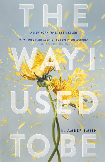 The Way I Used to Be #01 - AMBER SMITH