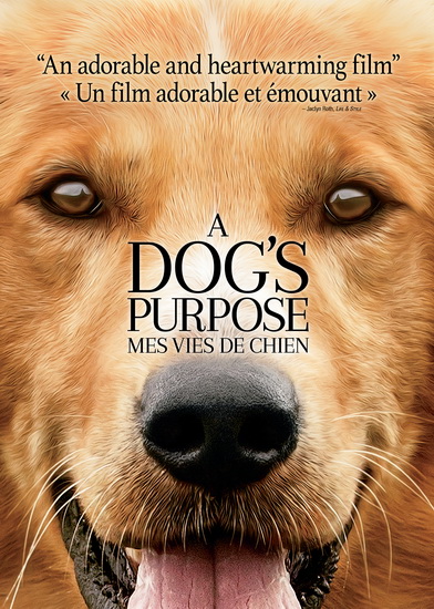 A Dog's Purpose - HALLSTRÖM LASSE