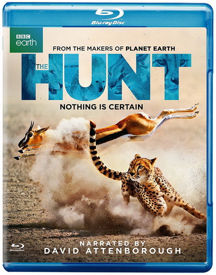 Hunt The  (2Bd)