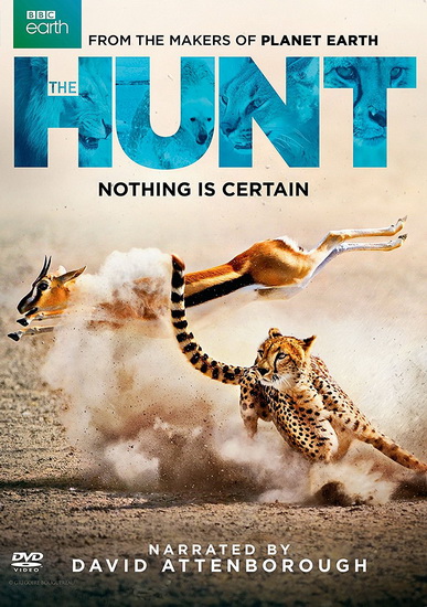 Hunt The (2Dvd)