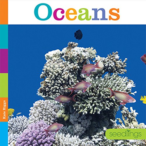 Oceans - KATE RIGGS