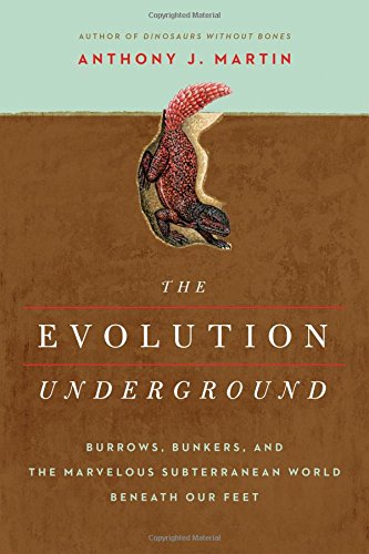 The Evolution Underground - ANTHONY J MARTIN