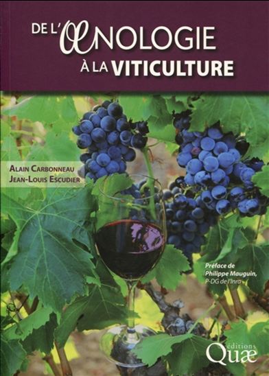 De l&#39;oenologie à la viticulture - ALAIN CARBONNEAU - JEAN-LOUIS ESCUDIER