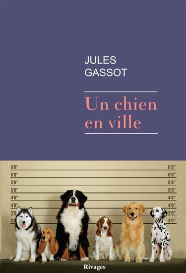 Un chien en ville - JULES GASSOT