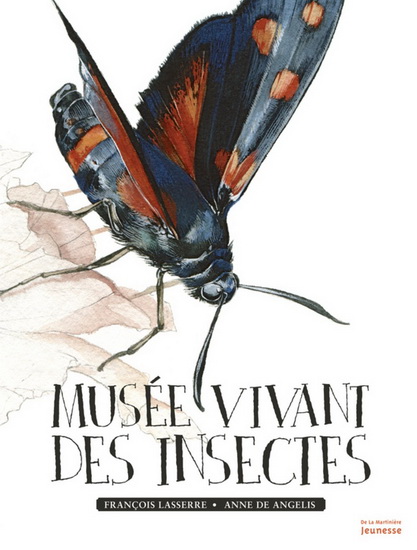 Musée vivant des insectes - FRANÇOIS LASSERRE - ANNE DE ANGELIS